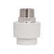 Муфта PPR Thermo Alliance 32х1" ЗР SD00029339 фото 5