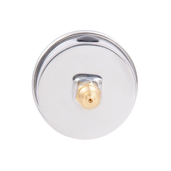 Манометр гліцериновий Thermo Alliancе Forte d63&nbsp;мм, 1/4"З із заднім підключенням (латун.) 0-10&nbsp;бар TAF171G10B SD00054394 фото