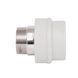 Муфта PPR Thermo Alliance 50х1" 1/2 ЗР SD00029341 фото 4