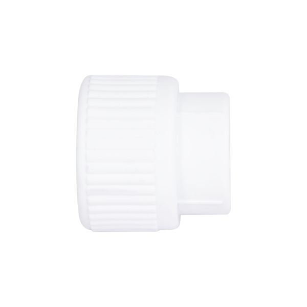 Муфта PPR Blue Ocean "Білий" 25х3/4" ВР SD00042195 фото