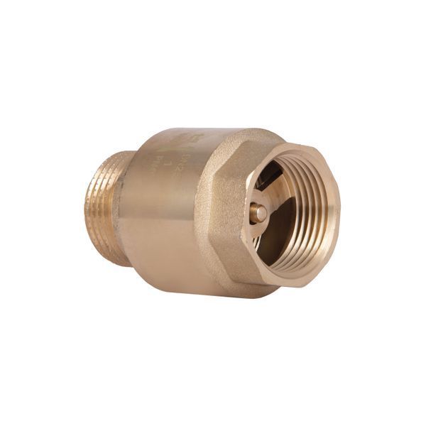 Клапан зворотний Thermo Alliance Standart 1"ВЗ із латунним штоком TAS248W25 SD00053369 фото